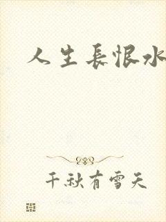 人生长恨水长东
