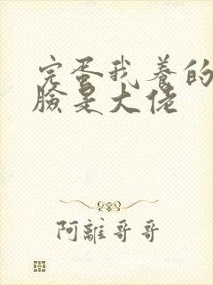 完蛋我养的小白脸是大佬