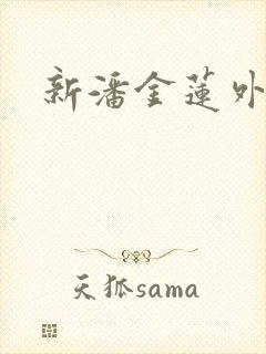 新潘金莲外传封面