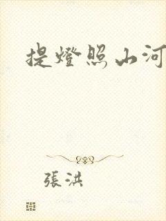 提灯照山河封面