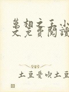 万相之王小说全文免费阅读笔趣阁