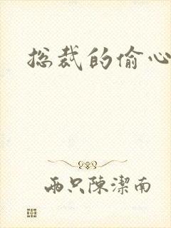 总裁的偷心娇妻