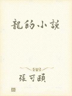龙的小说封面