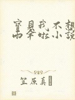 宝贝我不想带小雨伞啦小说封面