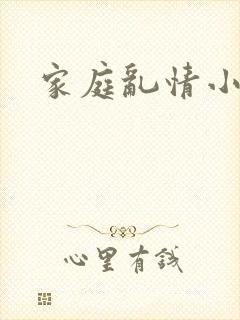家庭乱情小说封面