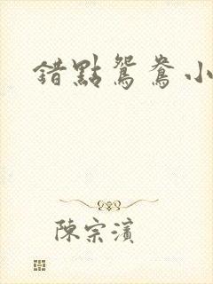错点鸳鸯小说封面