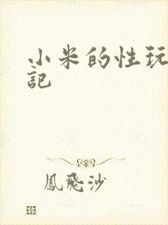 小米的性玩具日记封面