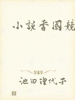 小说香国竞艳