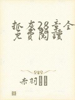 抓灰28章全部免费阅读