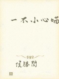 一不小心喵上你