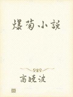 爆菊小说封面