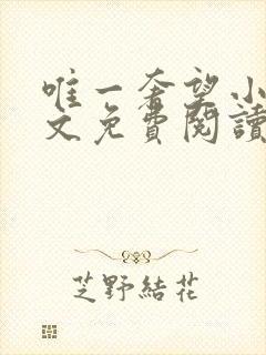 唯一奢望小说全文免费阅读封面