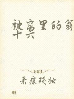 被窝里的翁憩二十六封面