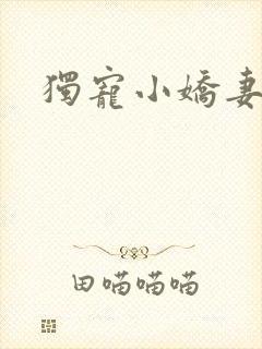 独宠小娇妻