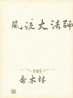 风流大法师