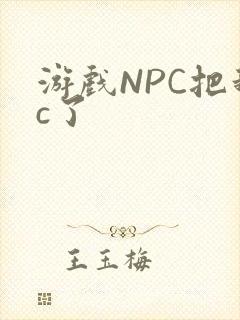 游戏NPC把我c了