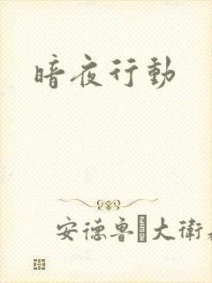 暗夜行动