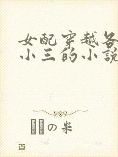 女配穿越各个做小三的小说