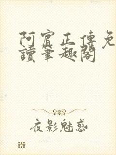 阿宾正传免费阅读笔趣阁封面