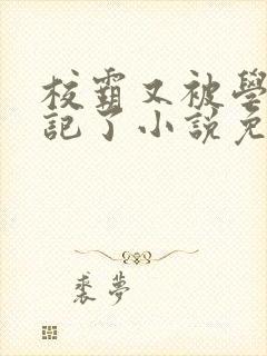 校霸又被学神标记了小说免费阅读封面