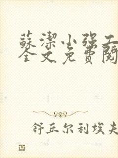 苏洁小强工地情全文免费阅读