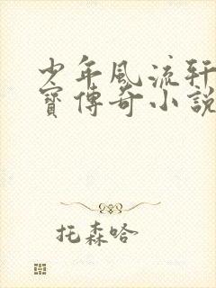 少年风流轩辕大宝传奇小说