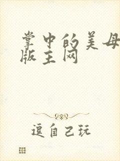 掌中的美母第一版主网封面