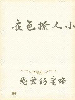 夜色撩人小说
