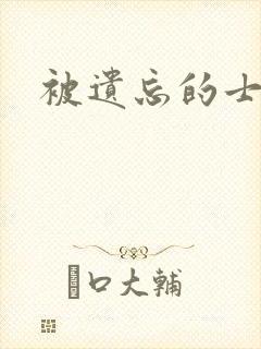 被遗忘的士兵封面