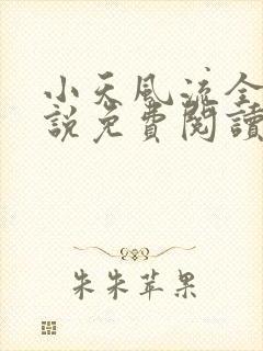 小天风流全集小说免费阅读