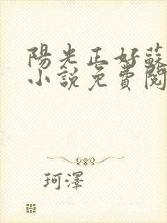 阳光正好苏玥玥小说免费阅读无弹窗封面