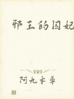 邪王的囚妃封面