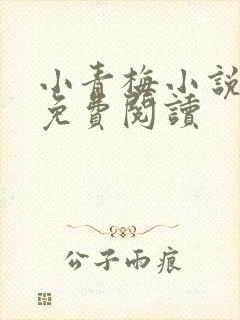 小青梅小说全文免费阅读封面
