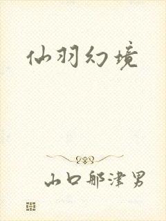 仙羽幻境封面