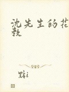 沈先生的花式调教