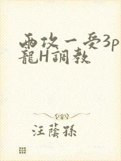 两攻一受3p双龙H调教
