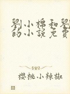 刘小棉和刘易文的小说免费阅读封面