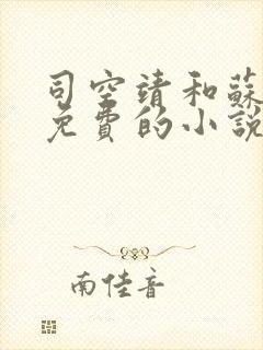 司空靖和苏月汐免费的小说笔趣阁封面