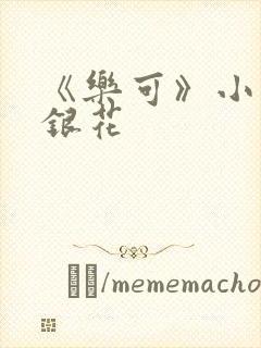 《乐可》小说金银花封面