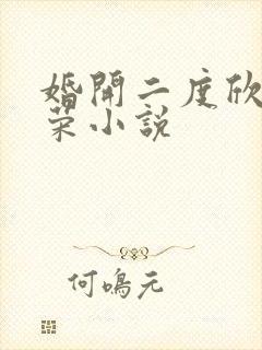 婚开二度欣欣向荣小说
