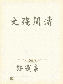 文强周涛封面