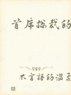 首席总裁的逃妻