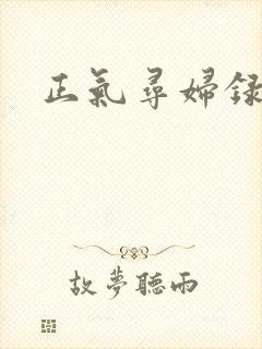 正气寻妇录