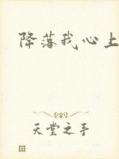 降落我心上封面