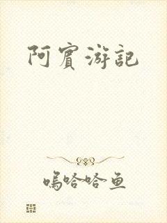 阿宾游记