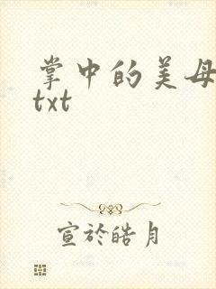 掌中的美母版主txt