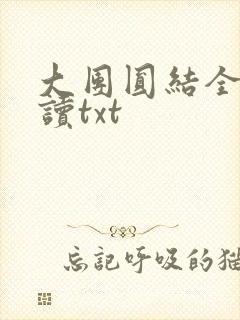 大团圆结全文阅读txt