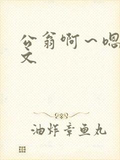 公翁啊～嗯啊h文