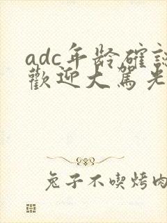 adc年龄确认欢迎大驾光临小说封面