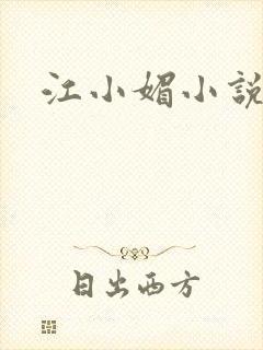 江小媚小说封面